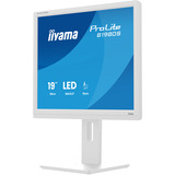 iiyama ProLite B1980S-W1, LED-Monitor 48 cm (19 Zoll), weiß (matt), SXGA, TN, HDMI, DP, Ergonomischer Standfuß