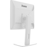iiyama ProLite B1980S-W1, LED-Monitor 48 cm (19 Zoll), weiß (matt), SXGA, TN, HDMI, DP, Ergonomischer Standfuß
