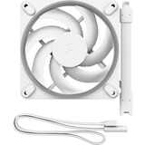 Fractal Design Momentum 12 RGB, Gehäuselüfter weiß, 120 mm