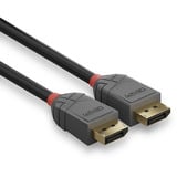 Lindy DisplayPort 1.1 Kabel, Anthra Line schwarz, 15m