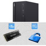 MSI PRO DP180 A14-1275AT, PC-System schwarz, Windows 11 Pro