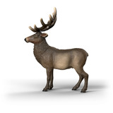 Schleich Wild Life Amerikanischer Rothirsch, Spielfigur 