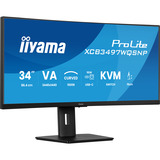 iiyama ProLite XCB3497WQSNP-B1, LED-Monitor 86.4 cm (34 Zoll), schwarz (matt), WQHD, VA, Curved, Adaptive-Sync, USB-C, USB-Hub, 120Hz Panel