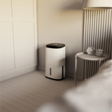 Meaco Dry Arete Two 25L Kompressor-Luftentfeuchter und Luftreiniger weiß/schwarz