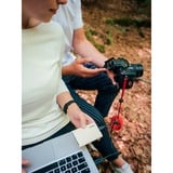 Samsung Portable SSD T7 Shield 1 TB, Externe SSD beige, USB-C 3.2 Gen 2 (10 Gbit/s), extern