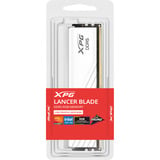 ADATA DIMM 32 GB DDR5-6000, Arbeitsspeicher weiß, AX5U6000C2832G-SLABRWH, XPG Lancer Blade RGB