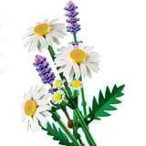 LEGO 11508 Botanicals Gänseblümchen, Konstruktionsspielzeug 