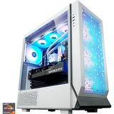 Neired Snow, Gaming-PC