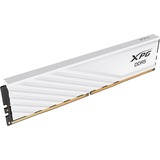 ADATA DIMM 16 GB DDR5-6000 (1x 16 GB), Arbeitsspeicher weiß, AX5U6000C4816G-SLABWH, XPG Lancer Blade, INTEL XMP, AMD EXPO