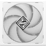 ASRock Steel Legend SL-1000GW, PC-Netzteil weiß, 1x 12-Pin High Power GPU, 3x PCIe, Kabelmanagement, 1000 Watt