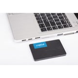 Crucial BX500 500 GB, SSD schwarz, SATA 6 Gb/s, 2,5"