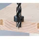 EINHELL XL-CASE Bit- & Bohrer-Set mit Aufbewahrung, 95-teilig, Bohrer- & Bit-Satz 