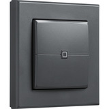 Homematic IP Wandtaster – 2-fach (HmIP-WRC2-A-2), Schalter anthrazit