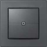 Homematic IP Wandtaster – 2-fach (HmIP-WRC2-A-2), Schalter anthrazit