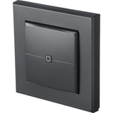 Homematic IP Wandtaster – 2-fach (HmIP-WRC2-A-2), Schalter anthrazit