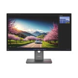 Lenovo ThinkVision P32UD-40, LED-Monitor 80 cm (31.5 Zoll), schwarz, UltraHD/4K, IPS, HDMI, DP, USB-C, USB-Hub, 120Hz Panel