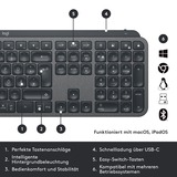 Logitech MX Keys Combo for Business Gen 2, Desktop-Set graphit, DE-Layout, Scissor-Switch, Logi Bolt, Bluetooth, kompatibel mit PC/Mac/iPad/Android