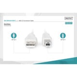 Digitus USB 2.0 Anschlusskabel USB-A (Stecker) > USB-B (Stecker) beige, 3 Meter