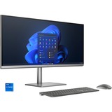 HP ENVY All-in-One 34-c1011ng, PC-System silber, Windows 11 Home 64-Bit