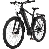 FISCHER Fahrrad TERRA 5.0i, Pedelec schwarz (matt), 29", 51 cm Rahmen