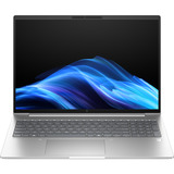 HP EliteBook 6 G1a (AD3K2ET), Notebook silber, AMD Ryzen 7 250, AMD Radeon 780M, 32 GB DDR5, 1 TB (1 TB SSD), Windows 11 Pro