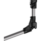 Rowenta X-Force Flex 14.60 Animal RH9958, Stielstaubsauger schwarz/silber