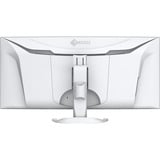 EIZO FlexScan EV3851X, LED-Monitor 95.3 cm (37.5 Zoll), weiß, Curved, HDMI, DP, USB-C, USB-Hub