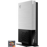 MSI MAG Trident S 5M-004AT, Gaming-PC schwarz/silber, Windows 11 Home 64-Bit