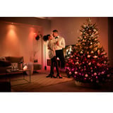 Philips Hue White & Color Ambiance Festavia Lichterkette 40m 