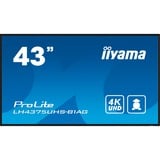iiyama ProLite LE4341S-B2, Public Display schwarz (glänzend), FullHD, IPS, Mediaplayer
