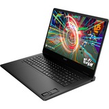OMEN 17-db0096ng, Gaming-Notebook schwarz, AMD Ryzen 9 8945HS, NVIDIA GeForce RTX 4060, 32 GB DDR5, 1 TB (1 TB SSD), Windows 11 Home 64-Bit