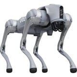 Unitree Go2 Pro, Roboter grau, Inklusive Fernbedienung