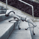 Unitree Go2 Pro, Roboter grau, Inklusive Fernbedienung