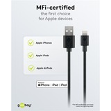 goobay Apple Lightning Ladeset 5 Watt, Ladegerät schwarz, 1 Meter Kabel