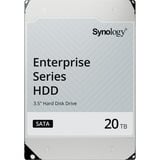 Synology HAS5310-20T, Festplatte SAS 12 Gb/s, 3,5", 24/7