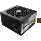RAIJINTEK ERMIS EVO 750B, PC-Netzteil schwarz, 1x High Power GPU, 2x PCIe, 750 Watt