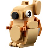 LEGO 30666 Creator 3-in-1 Geschenkset mit Tieren, Konstruktionsspielzeug 