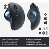 Logitech ERGO M575 for Business, Trackball graphit/blau