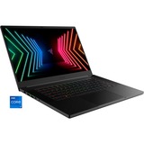 Razer Blade 15 Profi Modell (RZ09-0409BGC3-R3G1), Gaming-Notebook schwarz, Windows 10 Home 64-Bit, 360 Hz Display