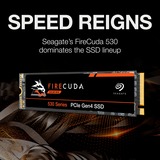 Seagate FireCuda 530 1 TB, SSD PCIe 4.0 x4, NVMe 1.4, M.2 2280