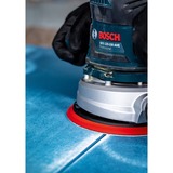 Bosch Professional Expert C470 Schleifblatt, Ø 125mm, K240 Multilochung 50 Stück, für Exzenterschleifer