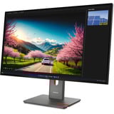 Lenovo ThinkVision P32UD-40, LED-Monitor 80 cm (31.5 Zoll), schwarz, UltraHD/4K, IPS, HDMI, DP, Thunderbolt 4, USB-Hub, 120Hz Panel