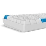 Sharkoon SKILLER SGK50 S2 PBT, Gaming-Tastatur weiß, BE-Layout, Gateron G Pro 3.0 Yellow