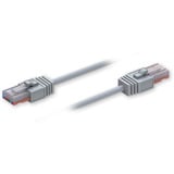 Teltonika Ethernet Kabel 1,5m grau