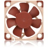 Noctua NF-A4x10 24V PWM, Gehäuselüfter braun/beige