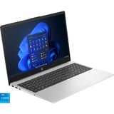 HP 250 G10 (9X2D5ES), Notebook silber, Intel® Core™ i5-1334U, Intel® Iris® Xe Graphics, 16 GB DDR4, 256 GB (256 GB SSD), ohne Betriebssystem