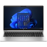 HP ProBook 455 G10 (8X8G4ES), Notebook silber, Windows 11 Pro 64-Bit, 39.6 cm (15.6 Zoll), 512 GB SSD