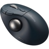 Kensington Pro Fit Ergo TB550, Trackball schwarz/blau