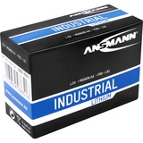 Ansmann Lithium Batterie Mignon AA / FR06 10 Stück