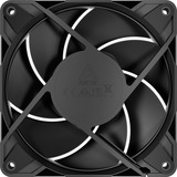 ARCTIC P12 Pro LN, Gehäuselüfter schwarz, 5er Pack, 120 mm